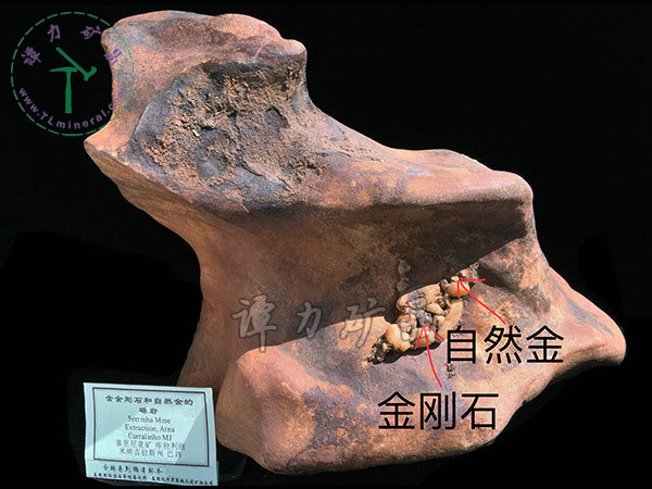 含金剛石和自然金的礫巖，巴西，米納斯吉拉斯州