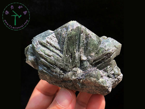 亞歷山大石（變石）輪式雙晶+津巴布韋，12x10x5.0(陽(yáng)光下拍攝)