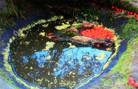 長(zhǎng)沙市譚力礦產(chǎn)品有限公司,長(zhǎng)沙礦產(chǎn)品銷售,工藝品銷售,鉆石飾品批發(fā) 長(zhǎng)沙市譚力礦產(chǎn)品有限公司,長(zhǎng)沙礦產(chǎn)品銷售,工藝品銷售,鉆石飾品批發(fā)