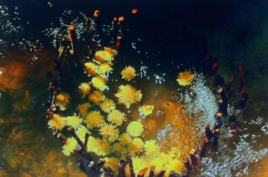 長(zhǎng)沙市譚力礦產(chǎn)品有限公司,長(zhǎng)沙礦產(chǎn)品銷售,工藝品銷售,鉆石飾品批發(fā) 長(zhǎng)沙市譚力礦產(chǎn)品有限公司,長(zhǎng)沙礦產(chǎn)品銷售,工藝品銷售,鉆石飾品批發(fā)